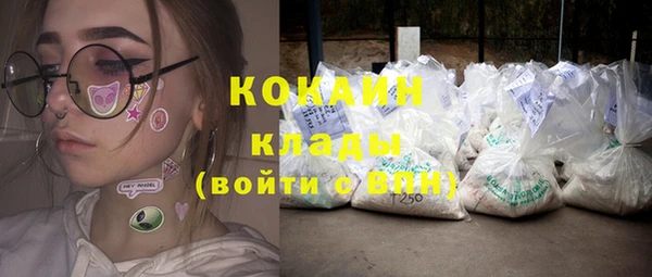 молекула духа Горняк