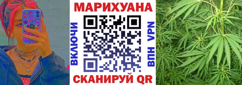 Бошки марихуана Amnesia  Купить где  Кувшиново 